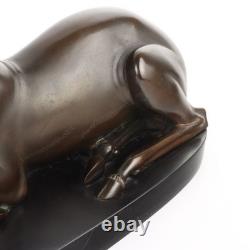 Ancient Stags Signed Sirio Tofanari in Bronze from the 20th Century