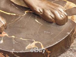 Rare Old Big Dog Signed Carvin / Plinth Magnificent Marble Or Bronze Regulates