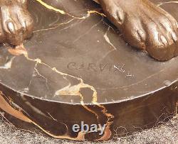 Rare Old Large Dog Signed Carvin / Marble Base Magnificent Bronze Or Regulated