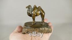 The Camel, Bronze Statue On Marble Terrace, Signed Irenee Rochard